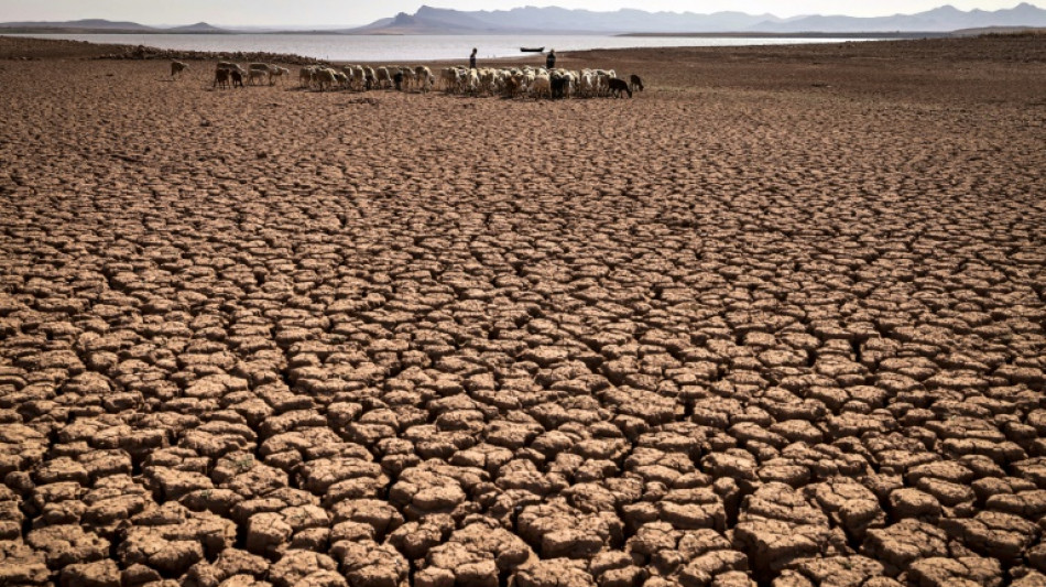 Millones de personas, en riesgo de convertirse en desplazados clim&aacute;ticos en Oriente Medio y el norte de &Aacute;frica