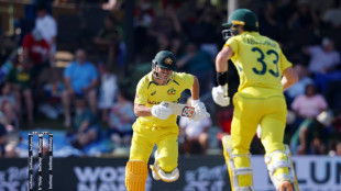 Warner, Labuschagne hit centuries as Australia ease past South Africa