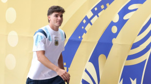 Alvarez can win back Atletico fans in two games: club chief