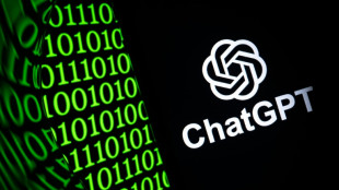 Australiano recorre &agrave; IA para encontrar vacina que salve sua cadela do c&acirc;ncer