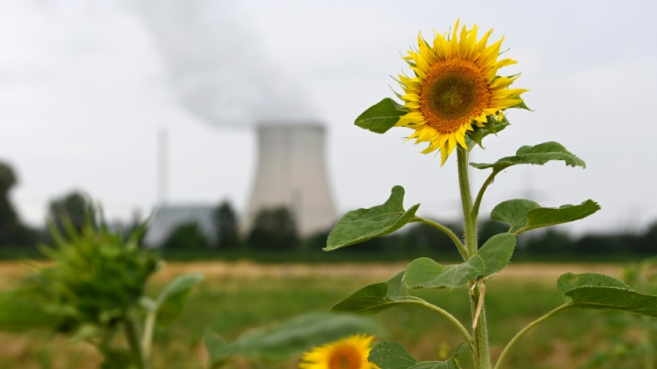 Ministerium: Laufzeitverl&auml;ngerung br&auml;chte 225 Tonnen schwer radioaktiven Materials