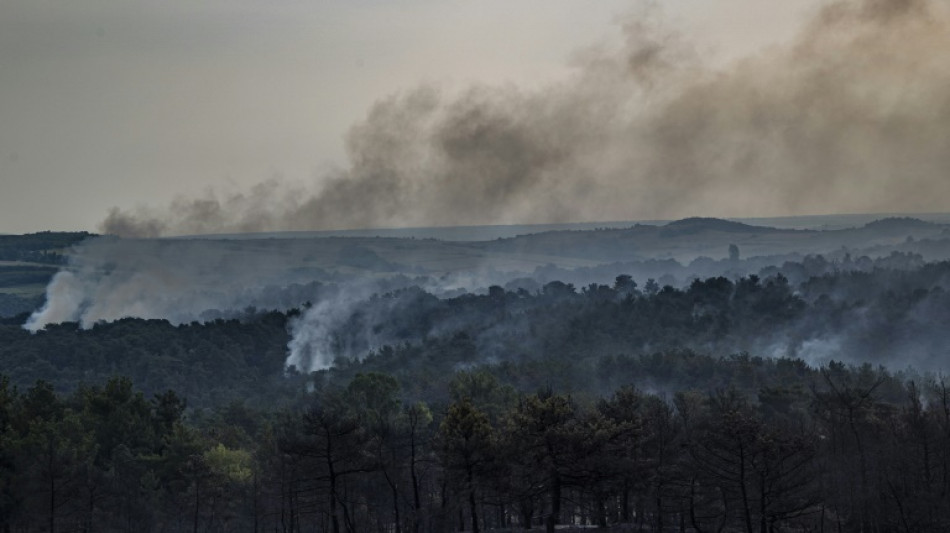 Incendies de for&ecirc;t en Gr&egrave;ce : au moins 150.000 hectares touch&eacute;s