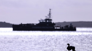 Argentina, marines Usa si addestrano a Ushuaia tra tensioni sulle Falkland-Malvinas