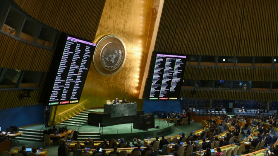 L'Assembl&eacute;e g&eacute;n&eacute;rale de l'ONU r&eacute;clame un "cessez-le-feu humanitaire" &agrave; Gaza