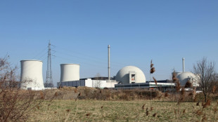 Zweiter Turm an stillgelegtem Atomkraftwerk Biblis kontrolliert eingest&uuml;rzt