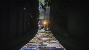 Incendio alla Biennale, coinvolto il Padiglione Serbia