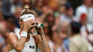 Vondrousova into Wimbledon final, ending Svitolina's Ukraine dream