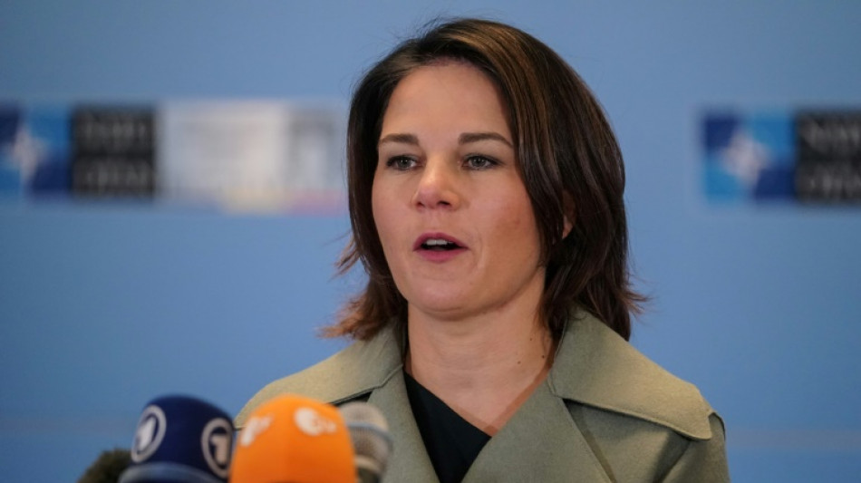 Baerbock warnt vor Folgen des Brexit f&uuml;r Frieden in Nordirland