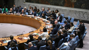 Panam&aacute;, Pakist&aacute;n y Somalia, entre los elegidos en el Consejo de Seguridad de la ONU