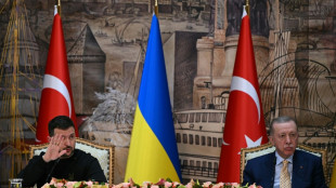 Erdogan se dit pr&ecirc;t &agrave; accueillir un sommet Russie-Ukraine
