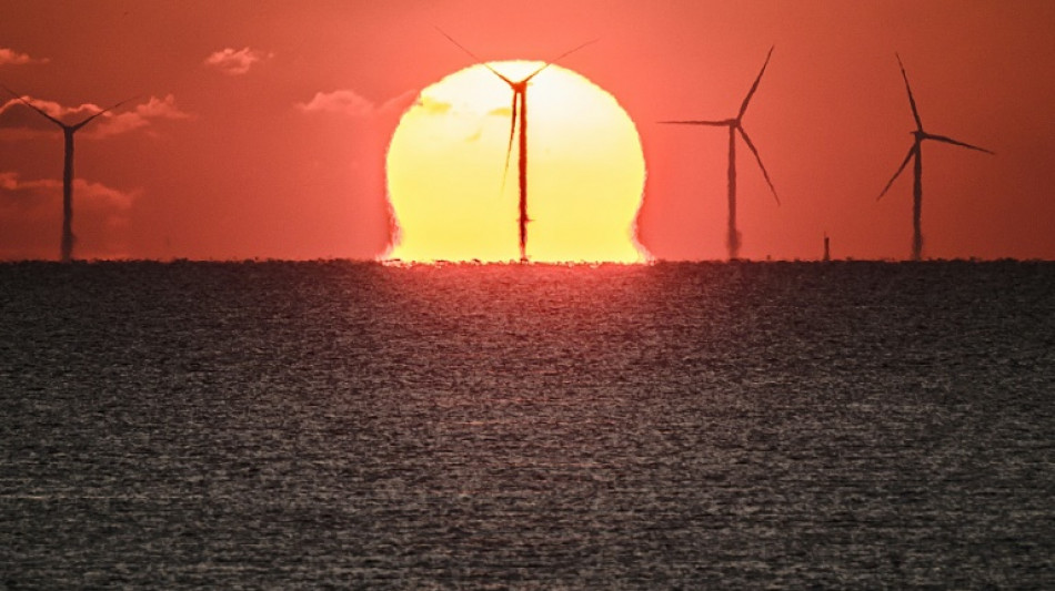 Eolien en mer: lancement d'un &eacute;norme appel d'offres en 2025 (Macron)