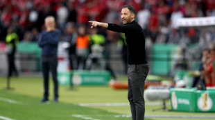 Tedesco named Belgium national football coach