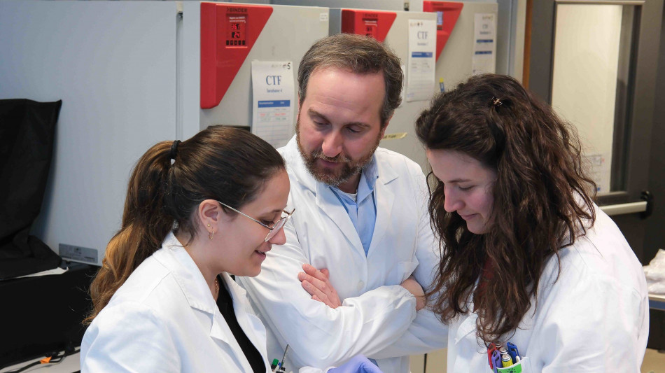 Un sistema 3D per studiare farmaci contro i tumori cerebrali