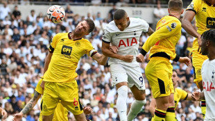 Postecoglou salutes Richarlison as Spurs star inspires victory