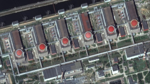 Hay riesgo de "pulverizaci&oacute;n de sustancias radioactivas" en central nuclear ucraniana (operador)