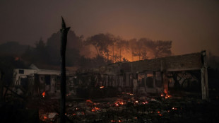 "Des tunnels de feu": en Gironde, la lutte au "corps à corps" des pompiers