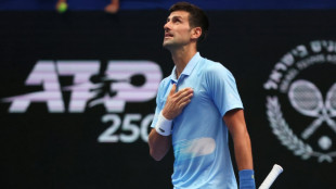Nueva especie de insecto en Serbia llamada Djokovic