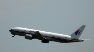 Agência da ONU responsabiliza Rússia por queda de aeronave da Malaysia Airlines em 2014
