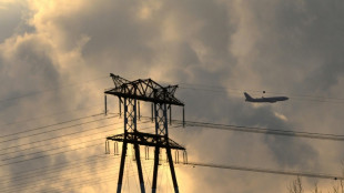 Bundesrat dringt auf Abwenden von Energiesperren