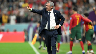 Portugal coach Santos hits jackpot with bold calls