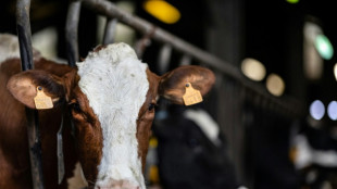 Le secteur agricole inclus dans les m&eacute;tiers en tension au Journal officiel