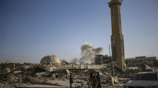 Trump, 'Hamas pare pronta alla pace, Israele fermi le bombe'