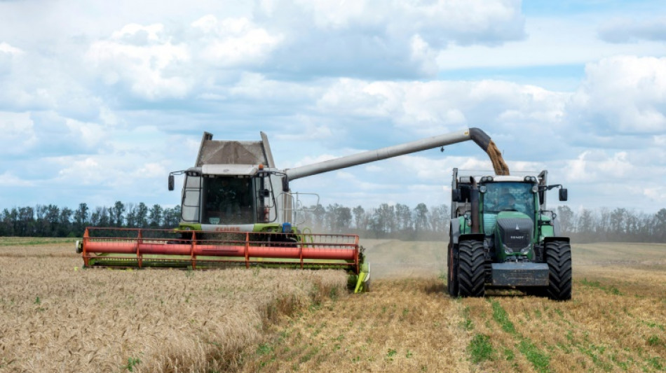 C&eacute;r&eacute;ales: l'Ukraine s'attend &agrave; de premi&egrave;res exportations "d&egrave;s cette semaine"