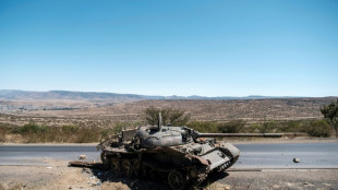 Región etíope del Tigré, escenario de "limpieza étnica" y "crímenes de guerra" (ONGs)