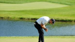 Hodges marches to first US PGA Tour title at 3M Open