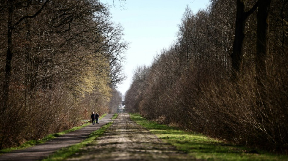 Paris-Roubaix: les organisateurs veulent s&eacute;curiser l'entr&eacute;e de la trou&eacute;e d'Arenberg