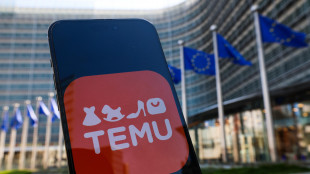 Ok Ue al piano della cinese Temu contro i prodotti illegali online