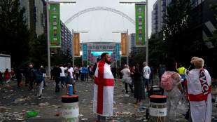 Fences could be erected at Wembley in response to Euro final chaos