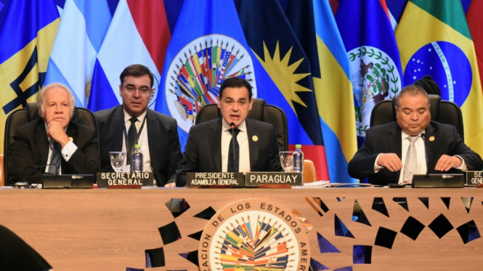 La OEA repudia el intento de golpe en Bolivia y atiende las crisis en Nicaragua y Hait&iacute;