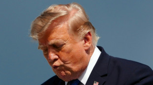 Trump dice que EEUU e Israel aplazar&aacute;n ataques contra Ir&aacute;n