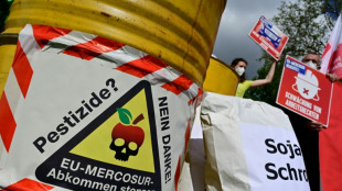 Prohibidos en la UE pero exportados al Mercosur: Europa y sus contradicciones sobre los pesticidas