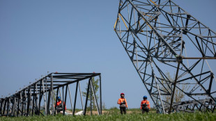 Francia limitar&aacute; el alza del precio de la electricidad hasta 2025