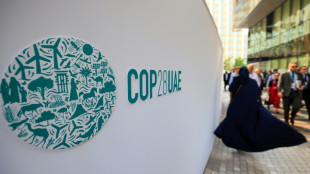 "L'&eacute;chec pas une option": le pr&eacute;sident de la COP28 cherche l'&eacute;quilibre sur les fossiles