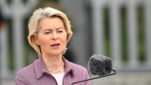 Ft, sospette interferenze russe su gps aereo von der Leyen