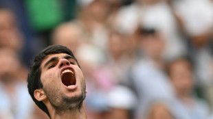 Alcaraz survives Wimbledon test, Rybakina cruises