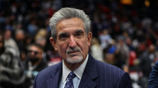 Qatari fund to buy minority stake in NBA, WNBA, NHL teams: reports