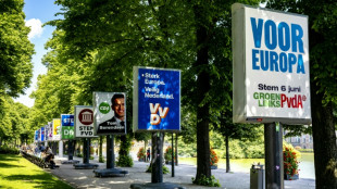 Pa&iacute;ses Bajos abri&oacute; las elecciones de la UE, confrontada al auge de la ultraderecha