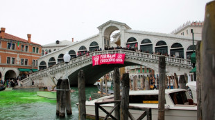 Le Grand Canal de Venise teint en vert par des militants &eacute;cologistes