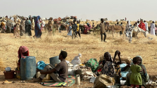 Soudan: plus de 400 tués au Darfour par les paramilitaires, selon des sources citées par l'ONU