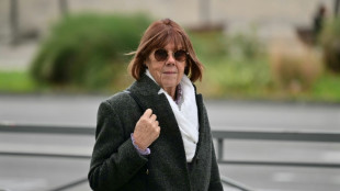 El p&uacute;blico y la prensa podr&aacute;n visionar los v&iacute;deos del juicio por violaci&oacute;n en Francia