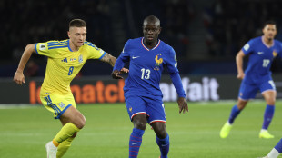 Calcio: Kant&eacute; al Fenerbah&ccedil;e, obiettivo Mondiali per il francese
