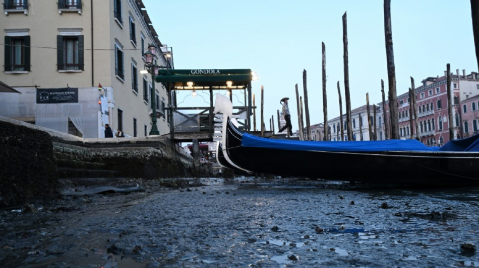 Donna Leon hat sich in Venedig noch nie bedroht gef&uuml;hlt