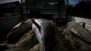 Dauphins: un nouveau mois sans p&ecirc;che, mais peut-&ecirc;tre pas le dernier 