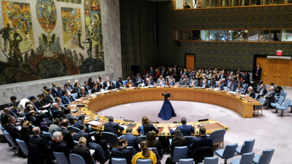 Le Conseil de s&eacute;curit&eacute; de l'ONU se r&eacute;unit apr&egrave;s le crash d'un avion militaire russe