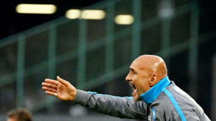 Spalletti agrees terms to take over Italian job: press