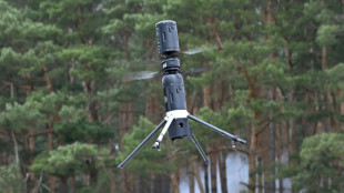En los bosques alemanes, un dron equipado de IA para rastrear los incendios
